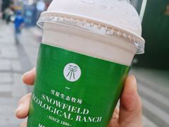 -茉酸奶(春熙路店)