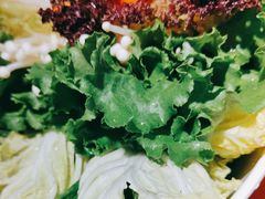 -成老灶火锅鸡(平山店)