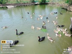 -溱湖国家湿地公园