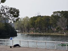 -新江湾城公园