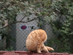 -四川大学(望江校区)