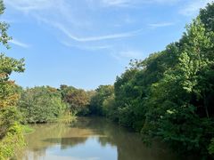 -上海海湾国家森林公园