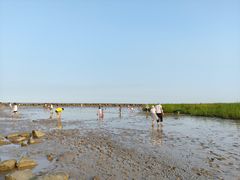 -南汇嘴观海公园