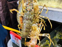 -阿拉斯加·海货(马王堆店)