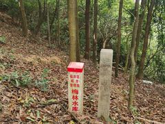 -阿婉贵州苗家酸汤鱼(梅林店)