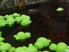 -余姚阳明温泉山庄