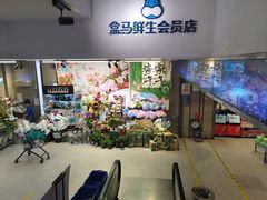 -盒马鲜生(大成店)