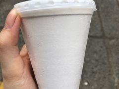 -洪馨椰子