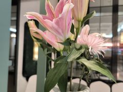 -南堂馆·新川菜(春熙路店)