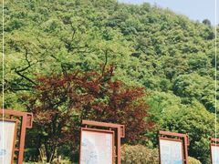 -黔灵山公园