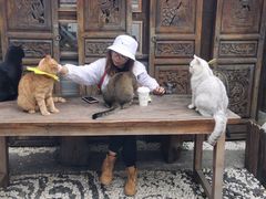 -喵屿·大理花园猫咖
