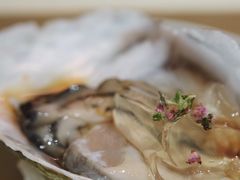 -橼舍鮨青木