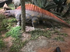 -湖南省地质博物馆