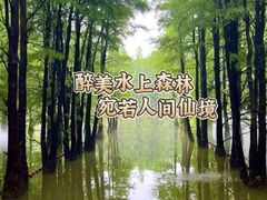 -尚湖风景区