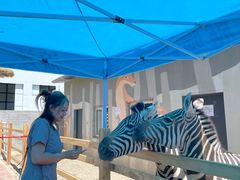 -水上乐园·欢乐世界