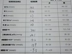 -中国农业大学动物医院