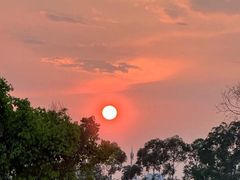 -白鹭湾湿地公园