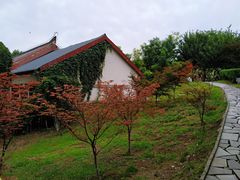 -西安汉城湖景区