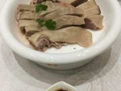 -鹅城
