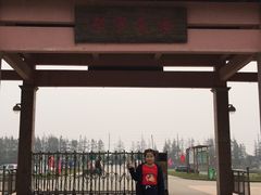 -上海都市菜园