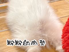 -狗道宠物(常熟印象城店)