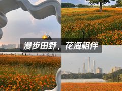 -海珠湖公园