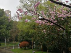 -玉山公园