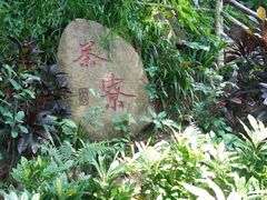 -青青世界