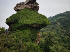 -海上云台山景区