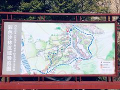 -彩色沙林风景区