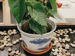 -峨嵋酒家(牡丹园店)