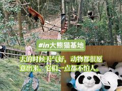 -春熙路步行街