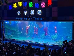 -泉城欧乐堡海洋极地世界