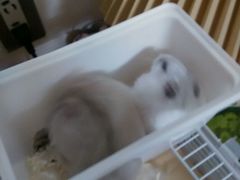 android_upload_pic-龙猫仔乐园(惠福东路店)