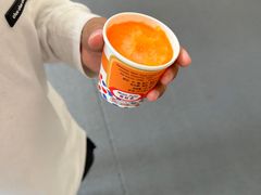 -富豪雪糕车流动点(尖沙咀店)