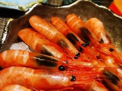 -左舞日本料理