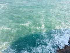 -广东惠东海龟国家级自然保护区