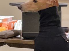 -BOCATA 西班牙餐厅(三里屯店)