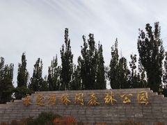 -永定河休闲森林公园