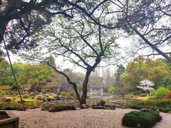 -杭州植物园