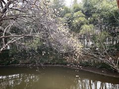 -水绘园