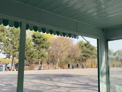 -北陵公园