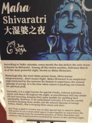 -Just Yoga 瑜伽·阿育吠陀
