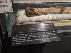 -巴音郭楞蒙古自治州博物馆