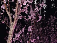 -莫子山公园