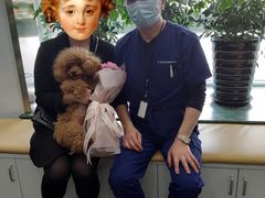 -爱侣宠医·鹦鹉专科·小型哺乳类·异宠专科(灵石路店)