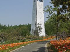 -东平国家森林公园