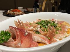 -觅唐MITONG(鸟巢店)