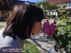 -索尔万