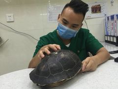 -瑞鹏宠物医院·微创内窥镜·骨外科·牙科(翠竹分院)